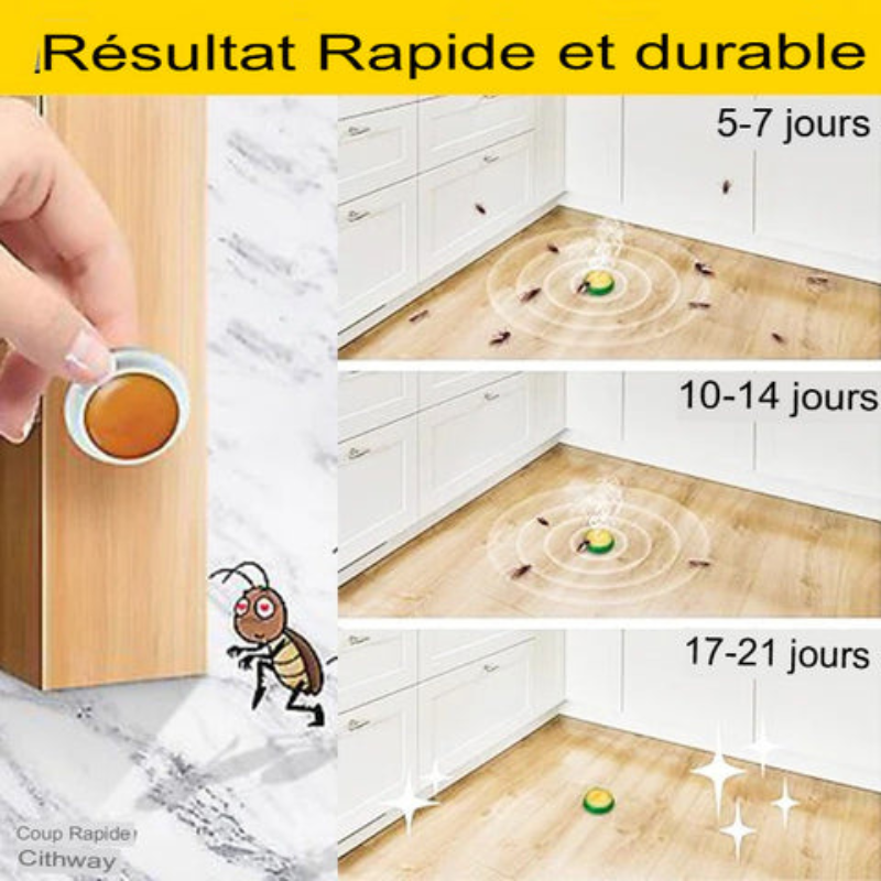 Zéro Cafard – Le Gel qui Libère Votre Foyer